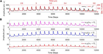 Implementation of input correlation learning with an optoelectronic dendritic unit